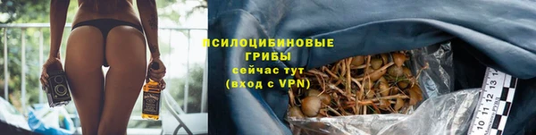 spice Алексеевка