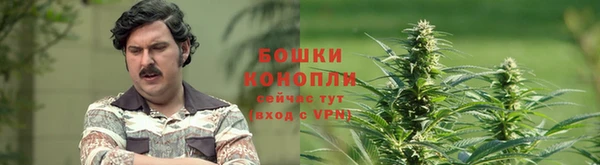spice Алексеевка
