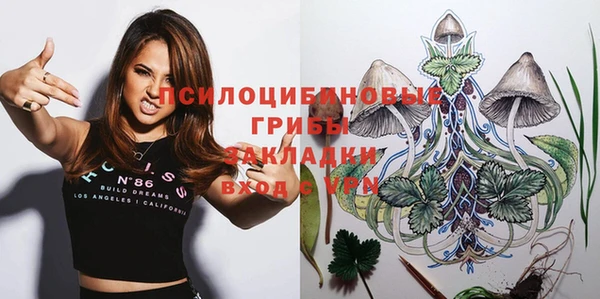 spice Алексеевка