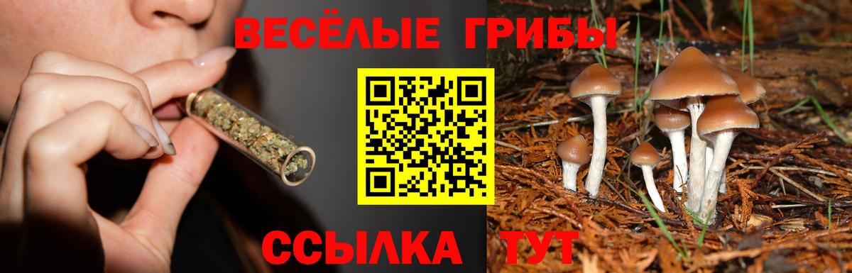 Еманжелинск  Псилоцибиновые грибы MAGIC MUSHROOMS  Галлюциногенные грибы мухоморы  как найти закладки  Вход с VPN 